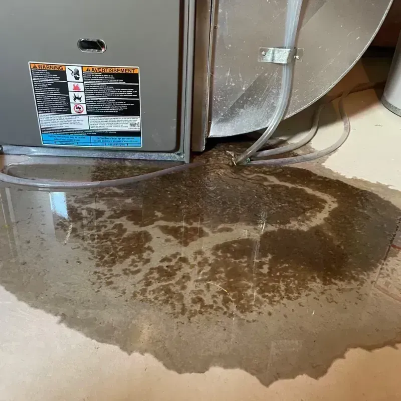 Appliance Leak Cleanup in Newman, CA